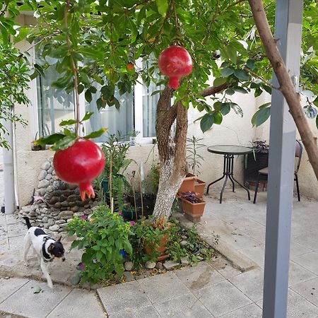 Домик У Куры Hotel Tbilisi Bagian luar foto