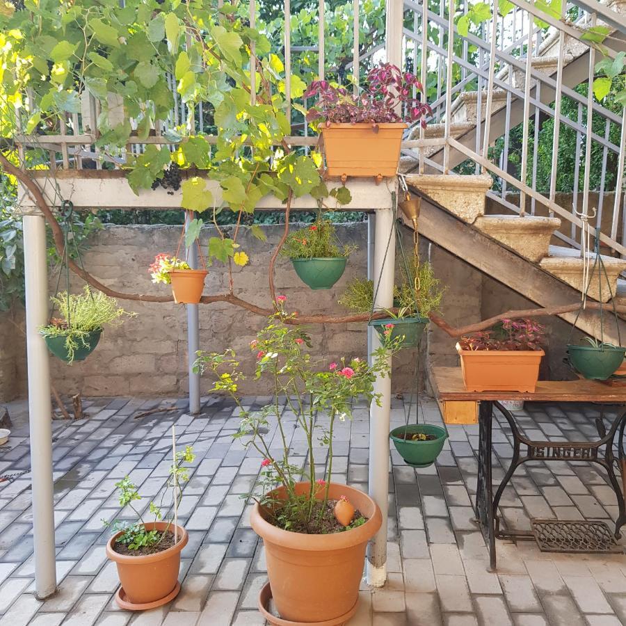 Домик У Куры Hotel Tbilisi Bagian luar foto